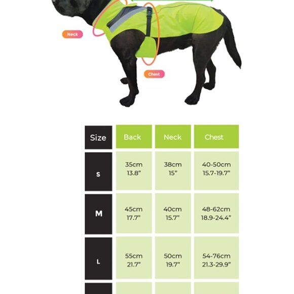 Dog Rain Coat (M, Yellow) - Picture 6 of 8